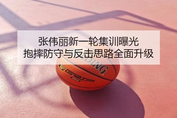 张伟丽新一轮集训曝光 抱摔防守与反击思路全面升级